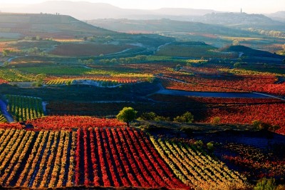 LA RIOJA . TIERRAS CON NOMBRE DE VINO.